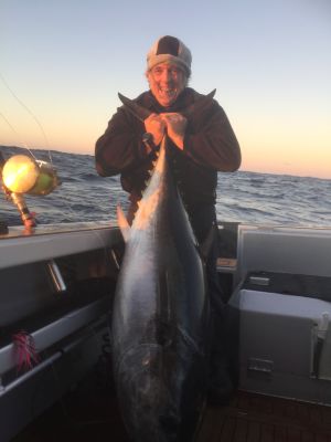 cols bluefin 72.5kg